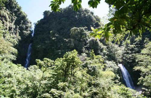 Trafalgar Hotel | Natty Tropical Valley