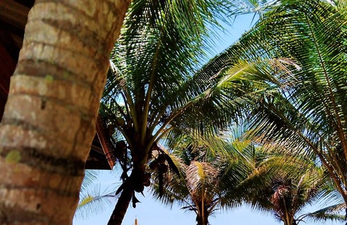 Ban Samphao House | Natural High Beach Cafe & Homestay