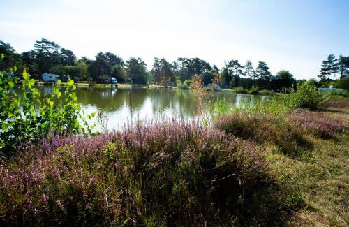 Soltau Other | Naturcamping Lüneburger Heide - Chalets & Tiny Häuser