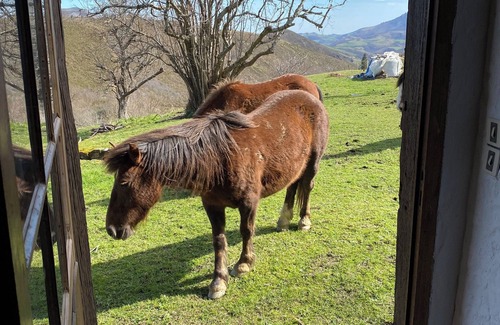 Espelette House | Nature & Détente, le Combo de vos Vacances au Coeur de la Montagne Basque !