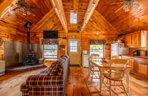 Anson House | Nature Enthusiast's Haven:Cabin with Scenic Trails