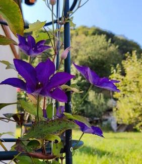 Cetateni House | Nature Hideaway