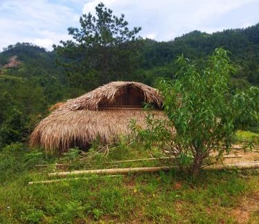 Mu Cang Chai House | Nature Homestay Mù Cang Chải