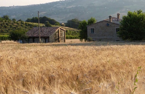 Apiro House | Nature Lover's Retreat: Country House Amidst Vineyards & Olive Groves