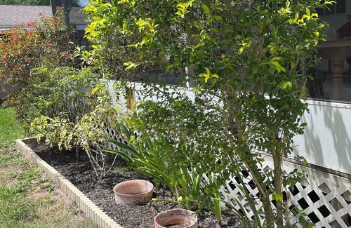 Odessa House | Nature Oasis Retreat w/Canal/Lake Access