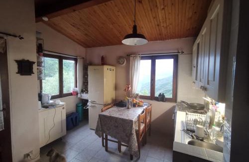 Berzi House | Nature's Rustico - Quiet Location - Picturesque
