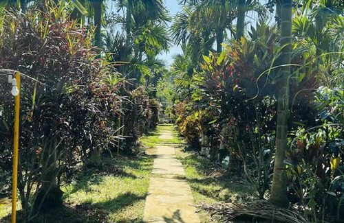 Vastare House | Nature Stay - Private Water Stream and a Pool