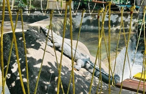 Vastare House | Nature Stay - Private Water Stream and a Pool