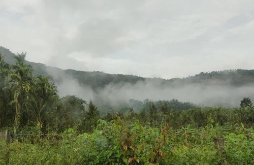 Vastare House | Nature Stay - Private Water Stream and a Pool