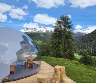 Davos Other | Naturedome Hof Camenisch