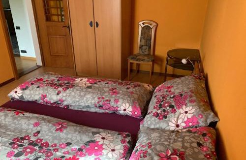 Brienz Apartment | Naturnahe Wohnung für 1 - 4 Personen