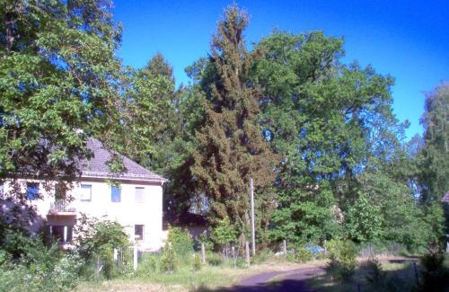Oberhavel Apartment | Naturpur