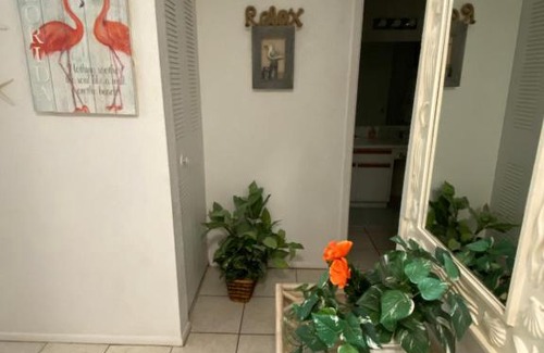 Bayview Apartment | Nautilus Cottage Beach