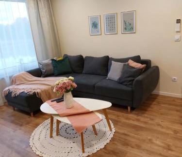 Voru County Apartment | Navi Apartment
