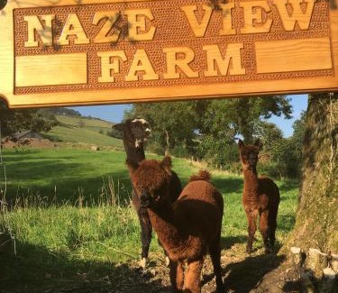 Combs House | Naze View Barn - Cosy, with all mod cons