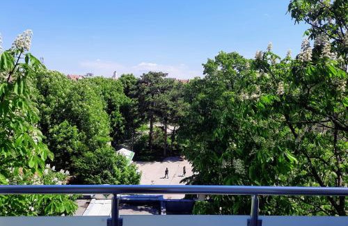 Ruse Center Apartment | NC Apartment Ruse