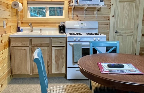 Seney Cabin | nCabin #3-New, Affordable, Year Round Lodging near Pictured Rocks & Tahquamenon!