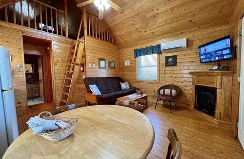 Laurel Springs Cabin | Near Blue Ridge Parkway, Pet Friendly Cabin w/WIFI & Pond Views, Gas Frpl