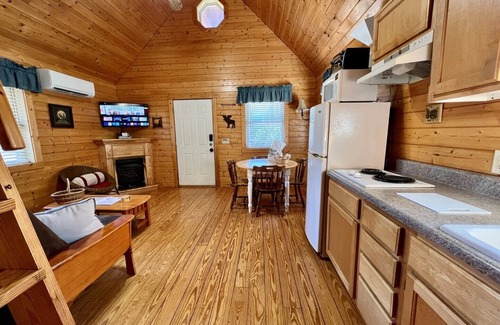 Laurel Springs Cabin | Near Blue Ridge Parkway, Pet Friendly Cabin w/WIFI & Pond Views, Gas Frpl
