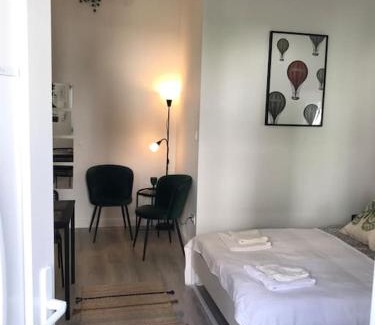 Istvanmezo Apartment | Near City park only 5 minutes walk , where you can find the world famous Szechenyi thermal bath spa, Capital Circus , Museums The apartment is modern and newly renovated ,in a quiet and peaceful green Oasis with AC ,smart TV, high speed internet