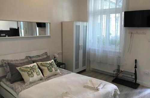 Istvanmezo Apartment | Near City park only 5 minutes walk , where you can find the world famous Szechenyi thermal bath spa, Capital Circus , Museums The apartment is modern and newly renovated ,in a quiet and peaceful green Oasis with AC ,smart TV, high speed internet