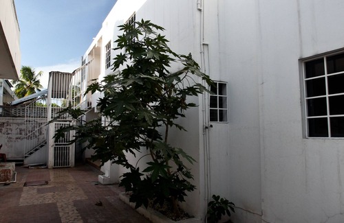 GCH Catchment area Apartment | Need A Quiet Place To Escape ? Stay At Bel Ayiti