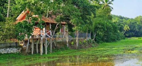 Chirayinkil Villa | Nellu - Tranquil Pool Villa & Organic Farmstay near Varkala
