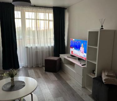 Panevezys Apartment | Nemuno apartamentai