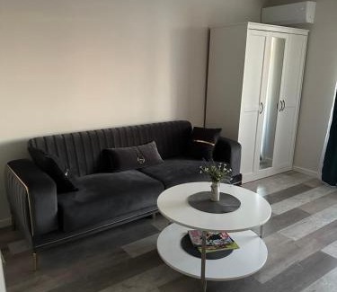 Panevezys Apartment | Nemuno apartamentai