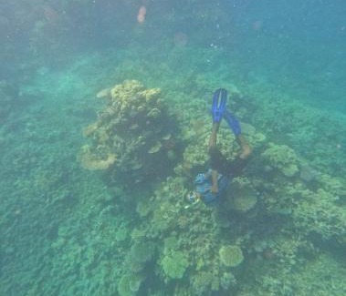 Naviti Island Hostel | Nenas Homestay