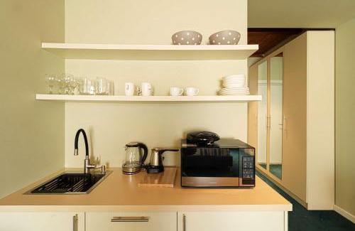 Dusheti Apartment | Neo Gudauri Sylish Studio - Managed By Wehost