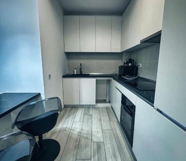 Timisoara Apartment | NEO Unu - Un Dormitor - free parking