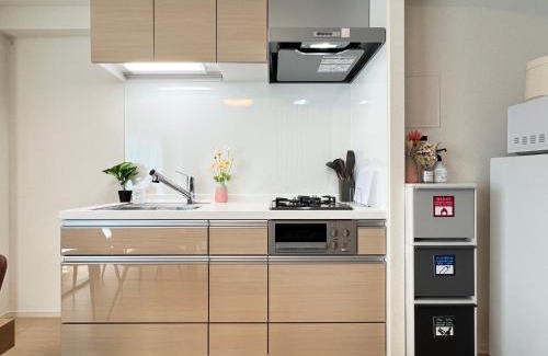 Kinshi Apartment | nestay apartment tokyo skytree