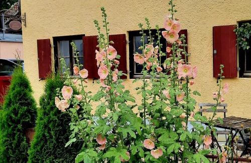Landsberg am Lech House | Nette's Ferienhaus