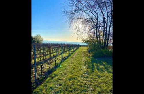 Kiedrich Apartment | NEU! Ferienwohnung Rheingau