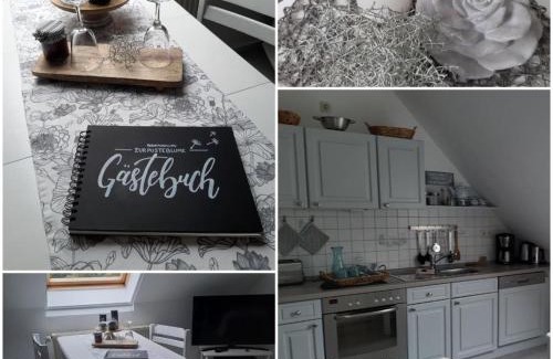 Dykhausen Apartment | NEU! Ferienwohnung Zur Pusteblume