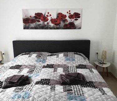 Hallenberg Apartment | Neu Gemütliche Ferienhaus mit 3 Ferienwohnungen "Max " , " Leonore " und "Beatrice"