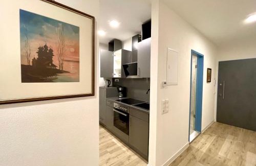 Pforzheim Apartment | NEU Große Einzimmerwohnung im Zentrum Goldstadt Pforzheim Schlössle