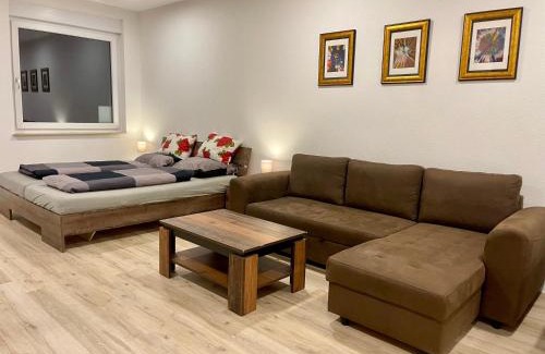 Pforzheim Apartment | NEU Große Einzimmerwohnung im Zentrum Goldstadt Pforzheim Schlössle