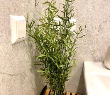 Pforzheim Apartment | NEU Kleines Apartment im Zentrum Goldstadt am Schlössle