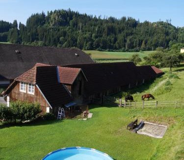 Liebenfels Apartment | Neubauerhof