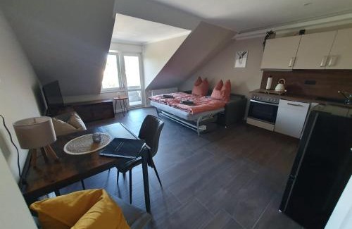 Schwerin Apartment | Neumühler Hof- Ferienwohnung "Benjamin" mit großer Privater Dachterasse und guter Anbindung in die City