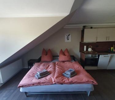Schwerin Apartment | Neumühler Hof- Ferienwohnung "Benjamin" mit großer Privater Dachterasse und guter Anbindung in die City
