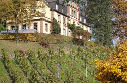 Durbach Apartment | Neveu Winery Josephsberg 2