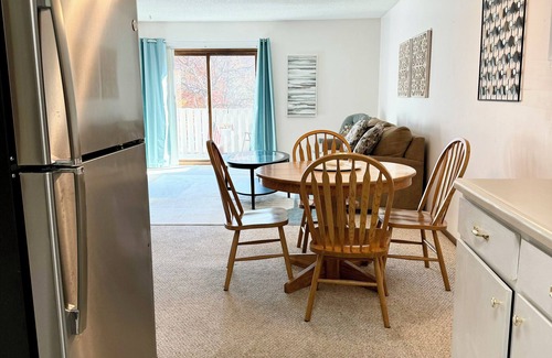 Northwestern Precinct Condo | NEW 1-bedroom condo with WiFi, AC in lovely Saint Paul near Hospitals!