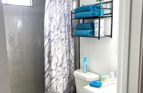 McAllen Apartment | NEW! 2 minutes from Convention Center, Palms Crossing Shopping & South Texas College