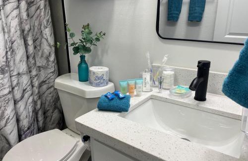 McAllen Apartment | NEW! 2 minutes from Convention Center, Palms Crossing Shopping & South Texas College