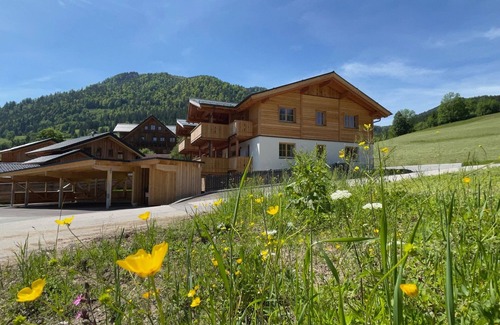 Russbach am Pass Gschuett Apartment | New apartment