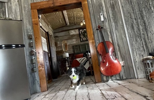 Fredericksburg House | NEW! Ava Haus SILO. We are Premier Host! See our other 4 listings for ratings.