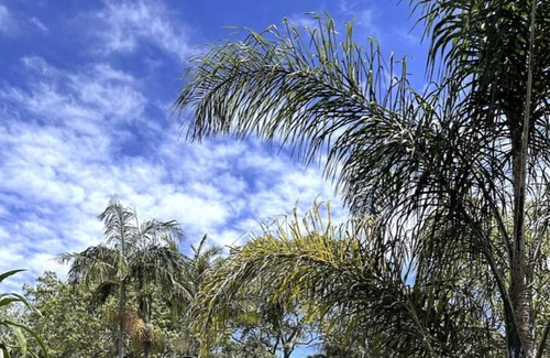 Wooloweyah House | NEW! Bush Retreat! 3 BR, 2 BA in national park